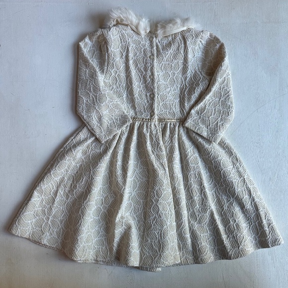 Janie and Jack Metallic Faux Fur Collar Dress - Picture 6 of 6